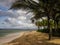 Buck Island from St Croix under the palms on a sandy beach