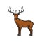 Buck reindeer animal German hunting sport mascot