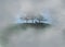 A buck whitetail deer with antlers is seen atop a hill among trees in the fog