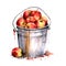 Bucket of apples. Watercolor hand drawn illustration on white background