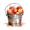 Bucket of apples. Watercolor hand drawn illustration on white background