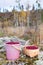 Bucket and basket with red bilberries on a moss in the Karelian forest, Russia