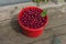 Bucket with cherries