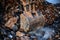 The bucket of a construction excavator scoops up destroyed concrete and bricks and large piles.