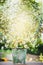 Bucket with daisies flowers on garden table over water spraying background