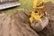 A bucket of excavator with a pile of earth digs a hole on the construction site. Industrial work