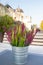 Bucket of flowers and Castle