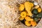 Bucket Full of Gourds