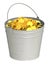 Bucket with gold coins
