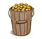 Bucket of gold coins. Treasure.