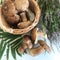 Bucket with porcini mushrooms and a bunch of blooming heather. Near a leaf of fern