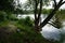 A bucket of water stands on the shore of Lake Wuhlesee in September. Berlin, Germany