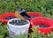 Buckets with picked blueberry berries on a fuzzy forest background, berry picking device, berry picking tools, a bucket and berry
