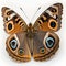 Buckeye butterfly Junonia coenia. Beautiful Butterfly in Wildlife. Isolate on white background