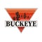 Buckeye city travel destination. vector shirt logo