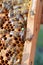 Buckfast queen bee marked with green dot in bee hive