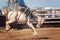 Bucking Bronc Horse At Country Rodeo