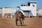 Bucking Bronc Horse At Country Rodeo