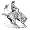 Bucking Bronco, vintage illustration