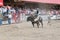 Bucking bull tries to throw off cowboy at bull riding competition