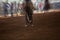 Bucking Horse With Rider At Indoor Country Rodeo