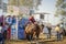 Bucking Saddle Bronc Riding