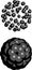 Buckminsterfullerene (buckyball, C60), molecular model