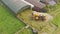 Buckraking silage in Ireland crop, grass