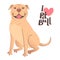 Buckskin brown beige pit bull terrier. I love pitbull. Vector illustration