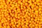 Buckthorn background