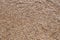 Buckwheat brown background