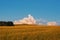 Buckwheat fields harvest ripens during sunset big cloud