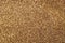 Buckwheat. Fresh buckwheat. Dry buckwheat background. Buckwheat texture. Useful properties of buckwheat
