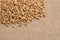 Buckwheat grains. Healthy food. Brown background