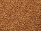 Buckwheat groats close-up, solid background, buckwheat seeds for cooking, dietary products, diabetic