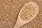 Buckwheat porridge. Wooden spoon. Brown background. Cereal sprouts