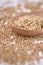 Buckwheat sprouts. White background. Wooden spoon