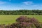 Bucolic landscape at Dumfries House in Cumnock, Scotland, UK.