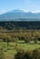 Bucolic Landscape And Volcano Etna