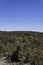 Bucolic panoramic landscape of the Valdes Peninsula in northern Patagonia near Puerto Madryn city center in the Chubut province in