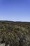 Bucolic panoramic landscape of the Valdes Peninsula in northern Patagonia near Puerto Madryn city center in the Chubut province in