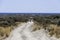 Bucolic panoramic landscape of the Valdes Peninsula in northern Patagonia near Puerto Madryn city center in the Chubut province in