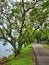 Bucolic scenery showing path surrounded by trees on the edge of the lagoon inviting for outdoor activities