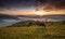 Bucovina autumn sunrise landscape in Romania with mist and mountains