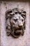 Budapest building element with the motive of a lion