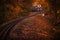 Budapest, Hungary - Beautiful autumn forest with foliage and old colorful train on the track