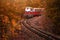 Budapest, Hungary - Beautiful autumn forest with foliage and old colorful train on the track in Hungarian woods