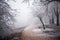 Budapest, Hungary - Beautiful foggy winter scene at Normafa with bench, snowy trees, footpath and walking people at background