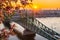 Budapest, Hungary - Beautiful Liberty Bridge over River Danube with traditional yellow tram  at sunrise with cherry blossom