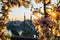 Budapest, Hungary - Beautiful Liberty Bridge at sunrise with cherry blossom around